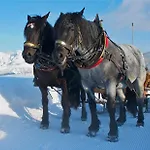 M4 4* Ваграйн