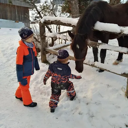 M4 מלון דירות