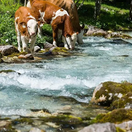 Ξενοδοχείο με διαμερίσματα M4 4*