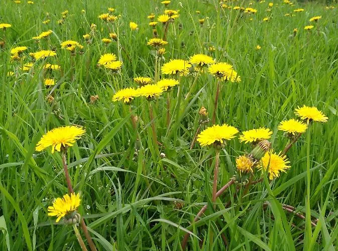 アパートホテル M4 4*