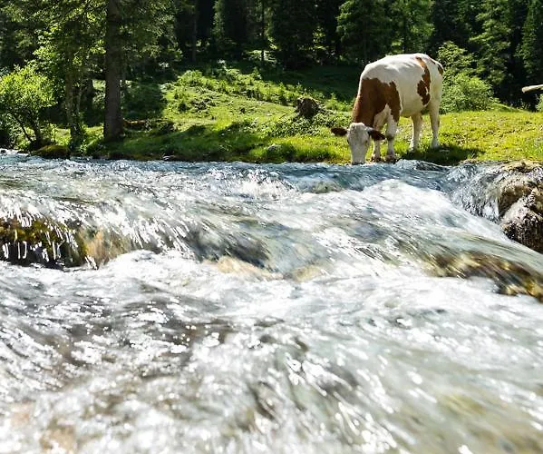 M4 ヴァークライン