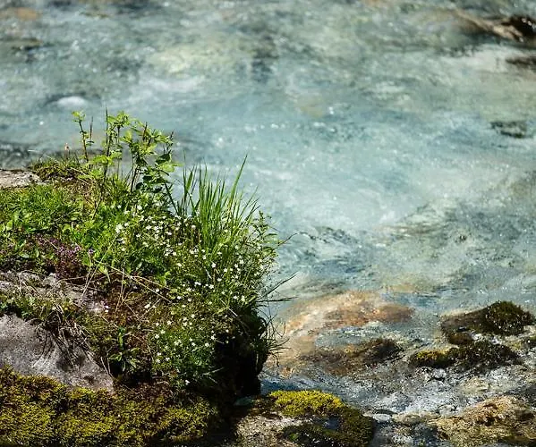 M4 4* ヴァークライン